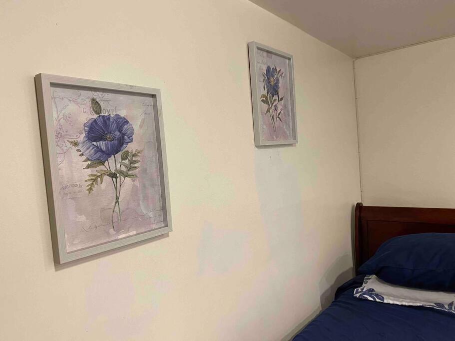 Treasure In Queens Apartment นิวยอร์ก ภายนอก รูปภาพ